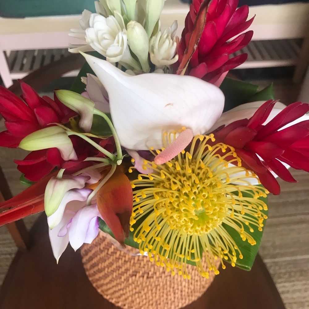 Meet your Posher, Beth